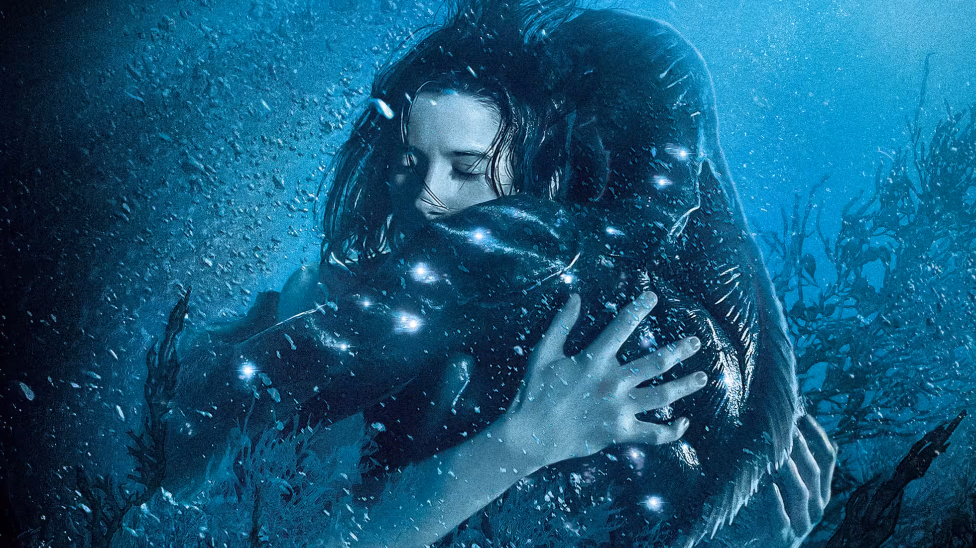 iDiMi – The Shape of Water