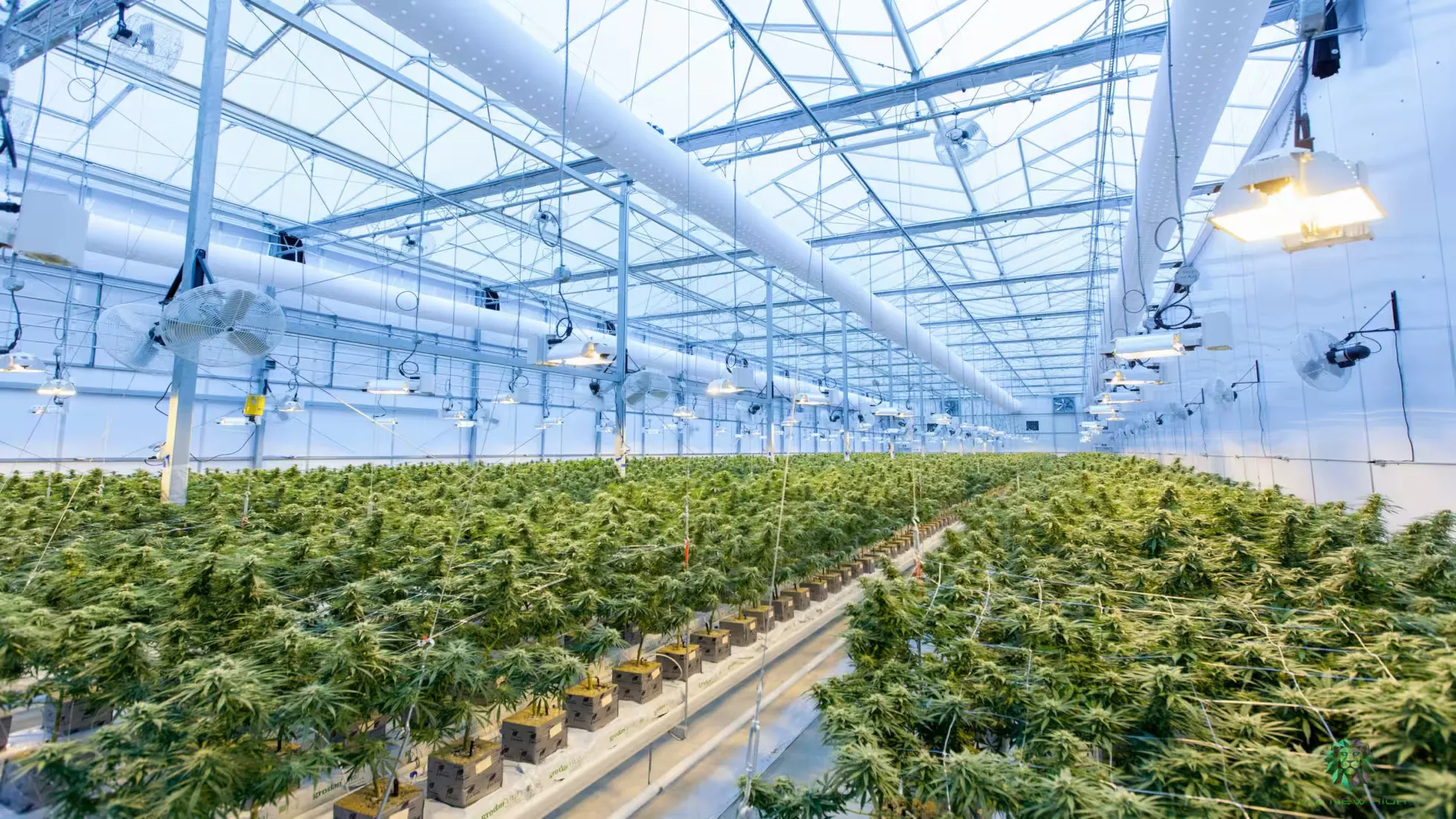 iDiMi-Development of Facility Agriculture Needs to Consider the Sustainability of Operations and Profitability