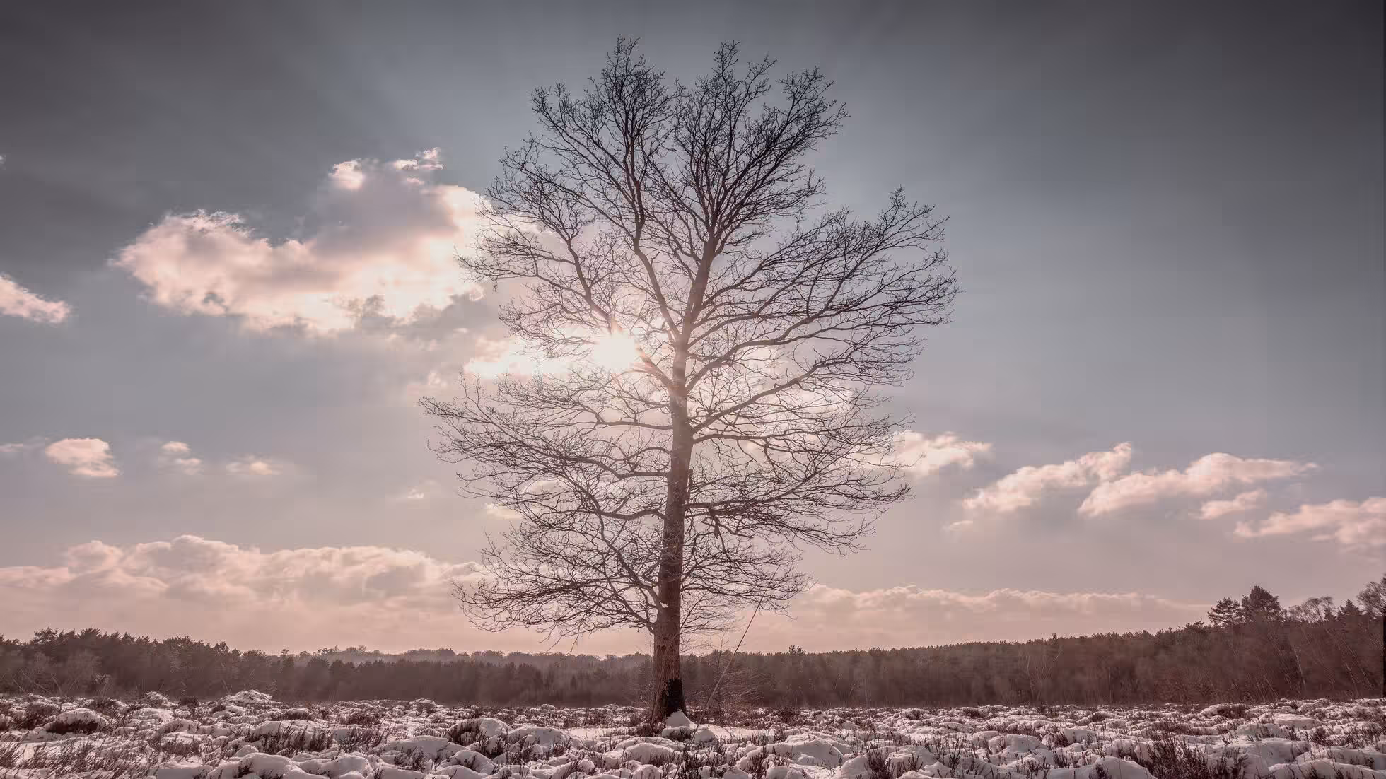 iDiMi-Meskipun bentuk kami adalah korporasi, sikap kami adalah kemitraan