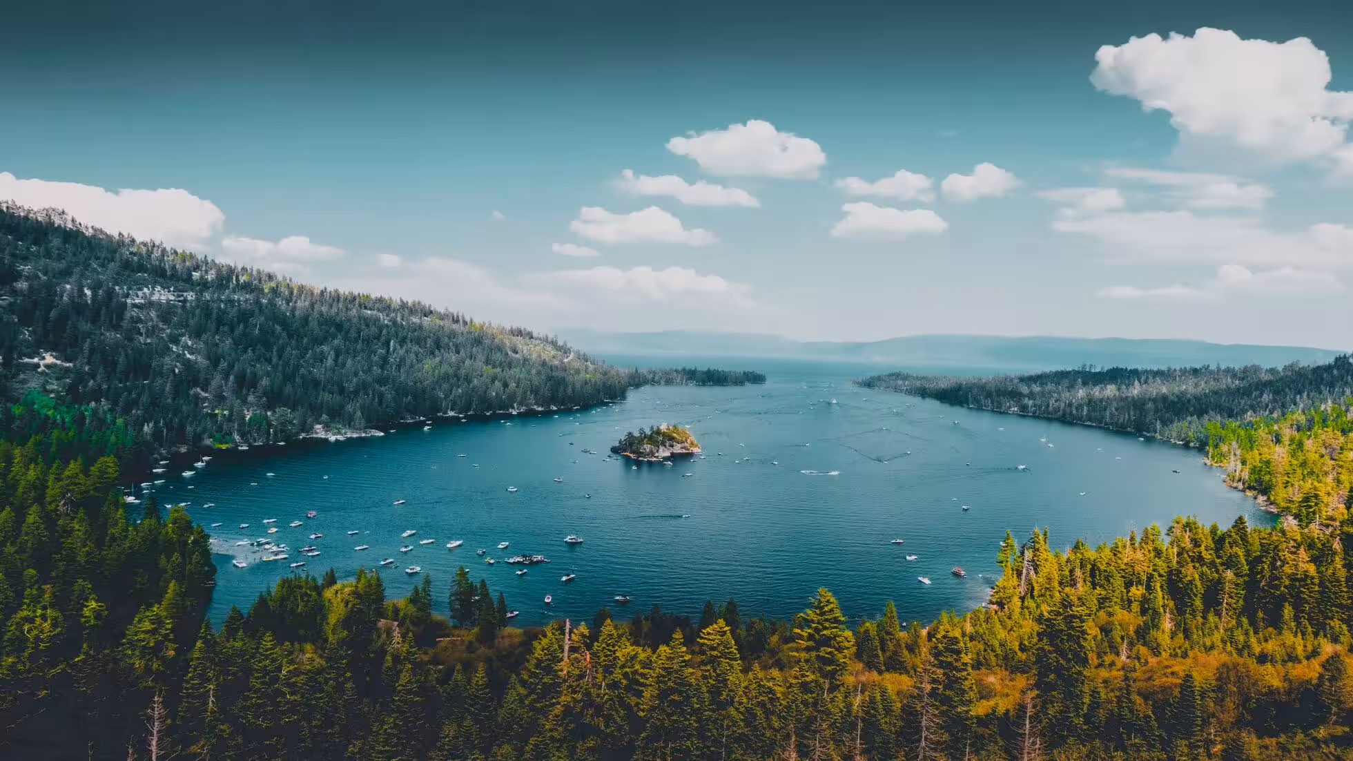 iDiMi-内卷效应下的经贸格局