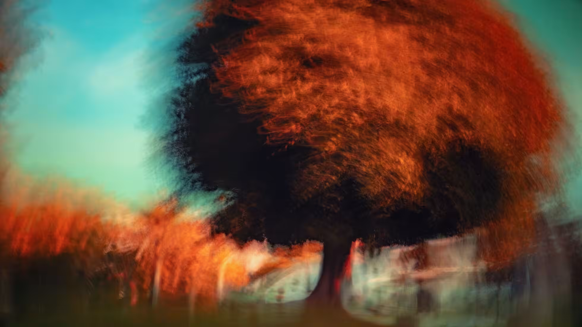 iDiMi-تاريخ موجز لصناعة التجزئة