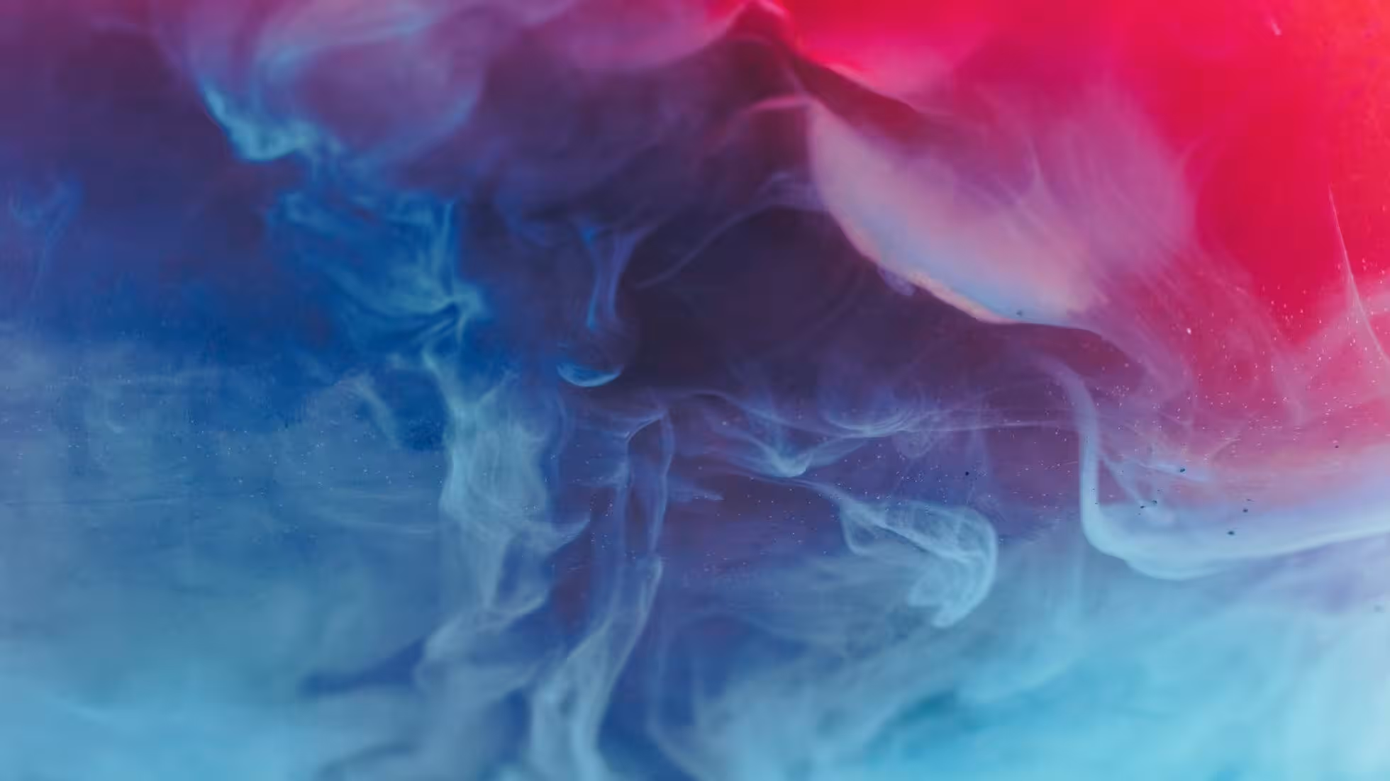 iDiMi—Férias de verão, voando para os Estados Unidos