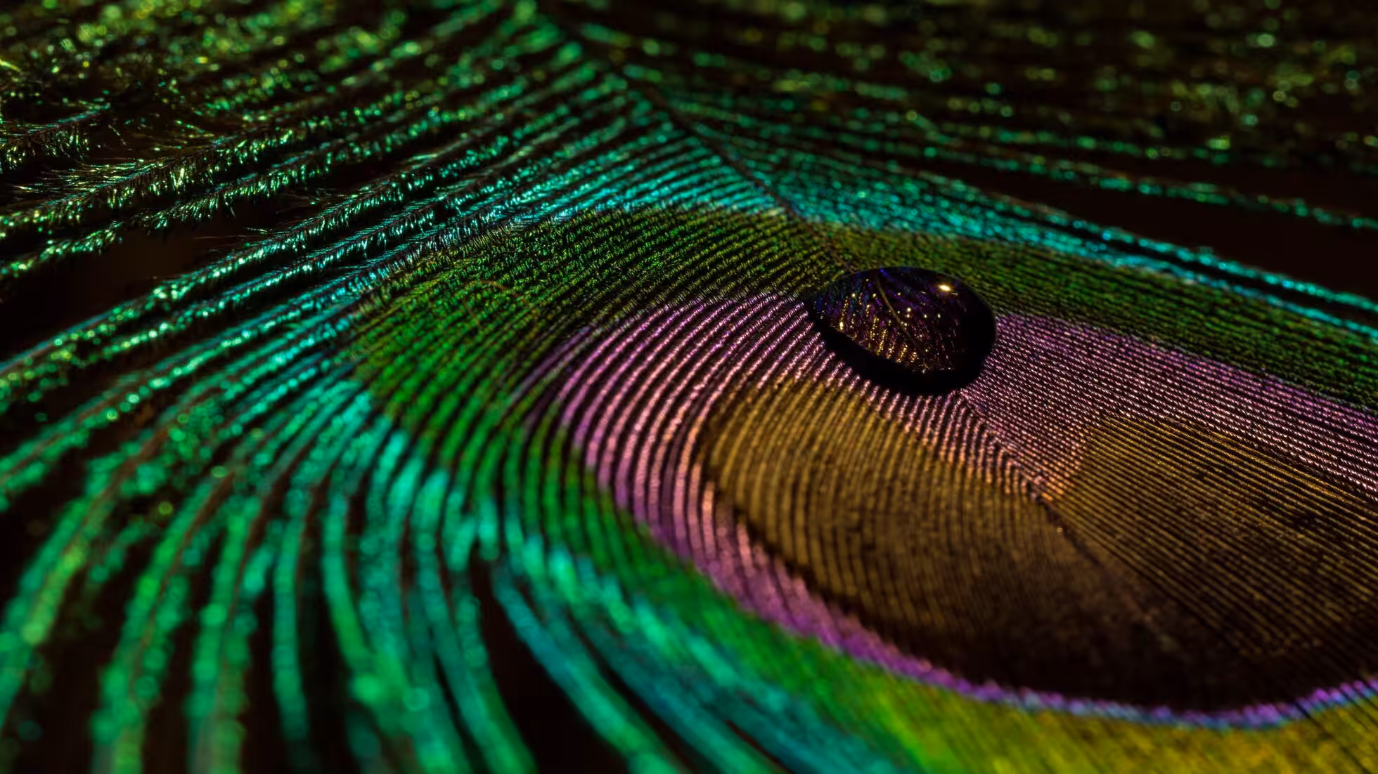 iDiMi-هل ما زلنا قادرين على القراءة العميقة؟