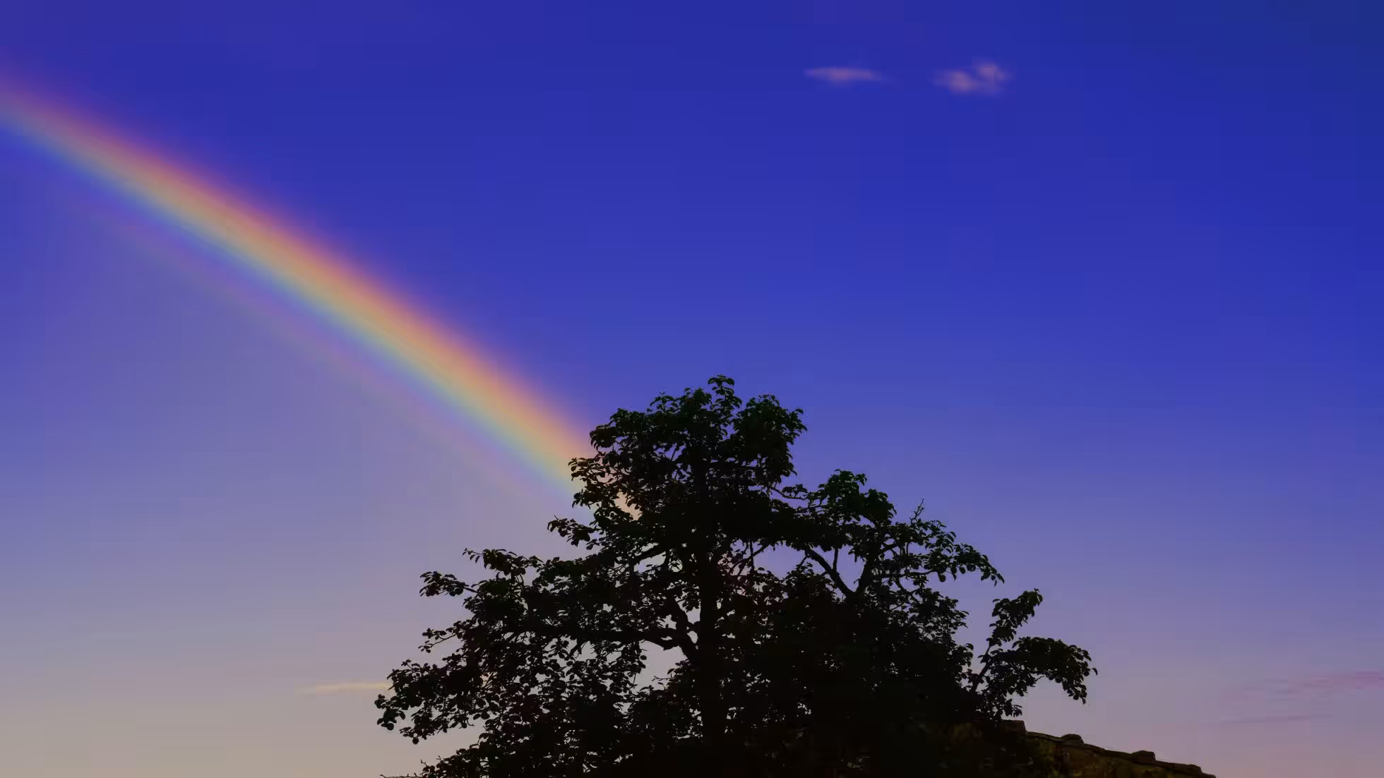 iDiMi-زراعة 2030 في كوينزلاند