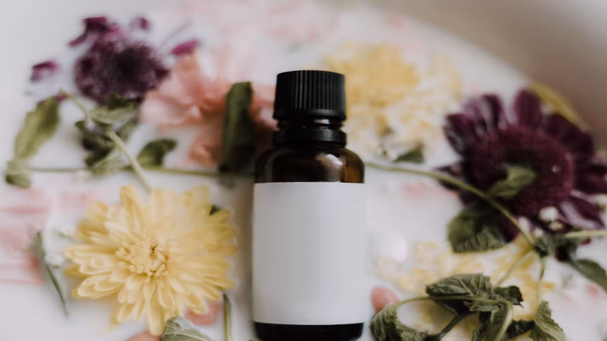 iDiMi-遵义，手撕鬼子与手撕丝娃娃