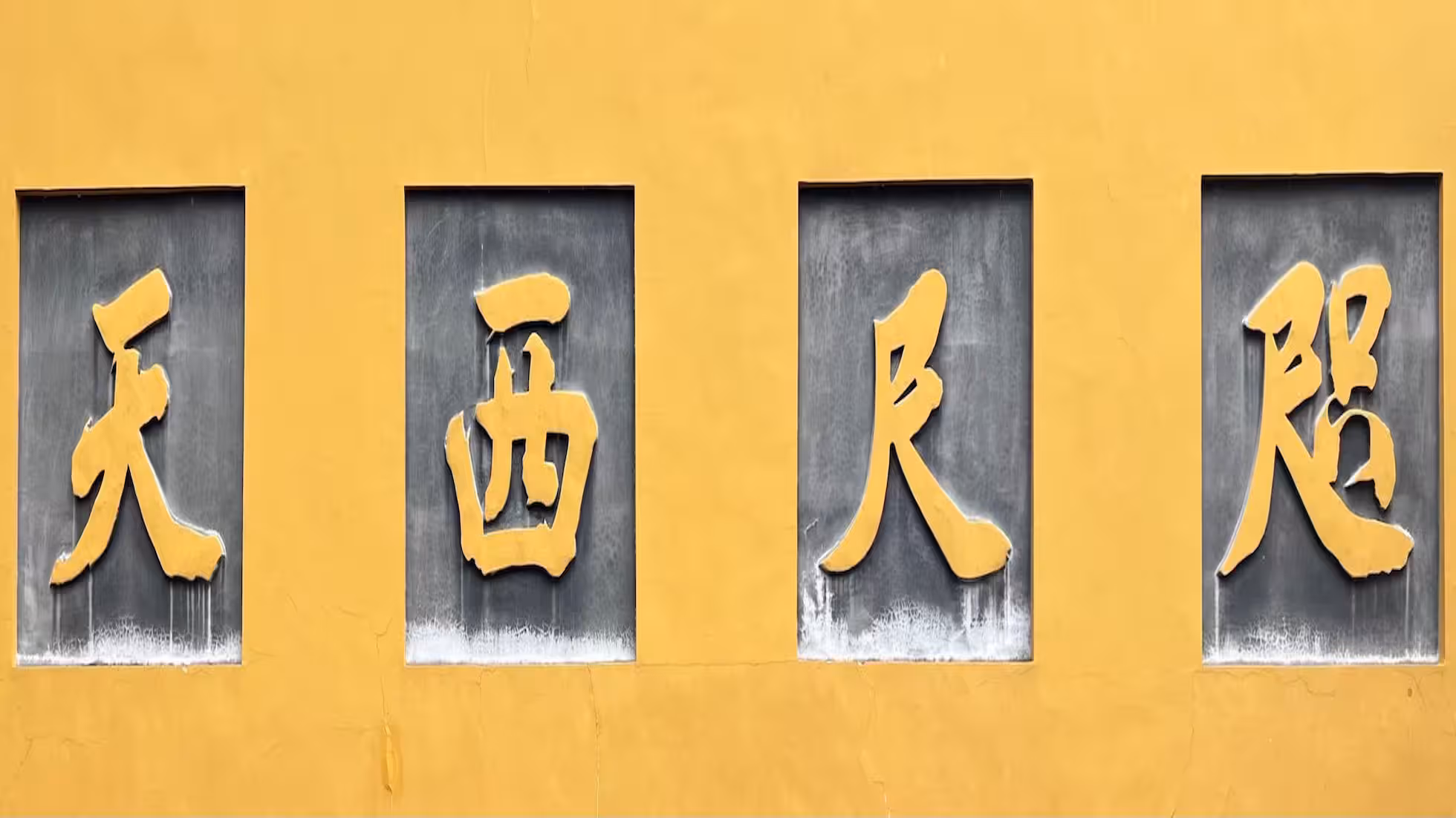 iDiMi-息羽听经,咫尺西天