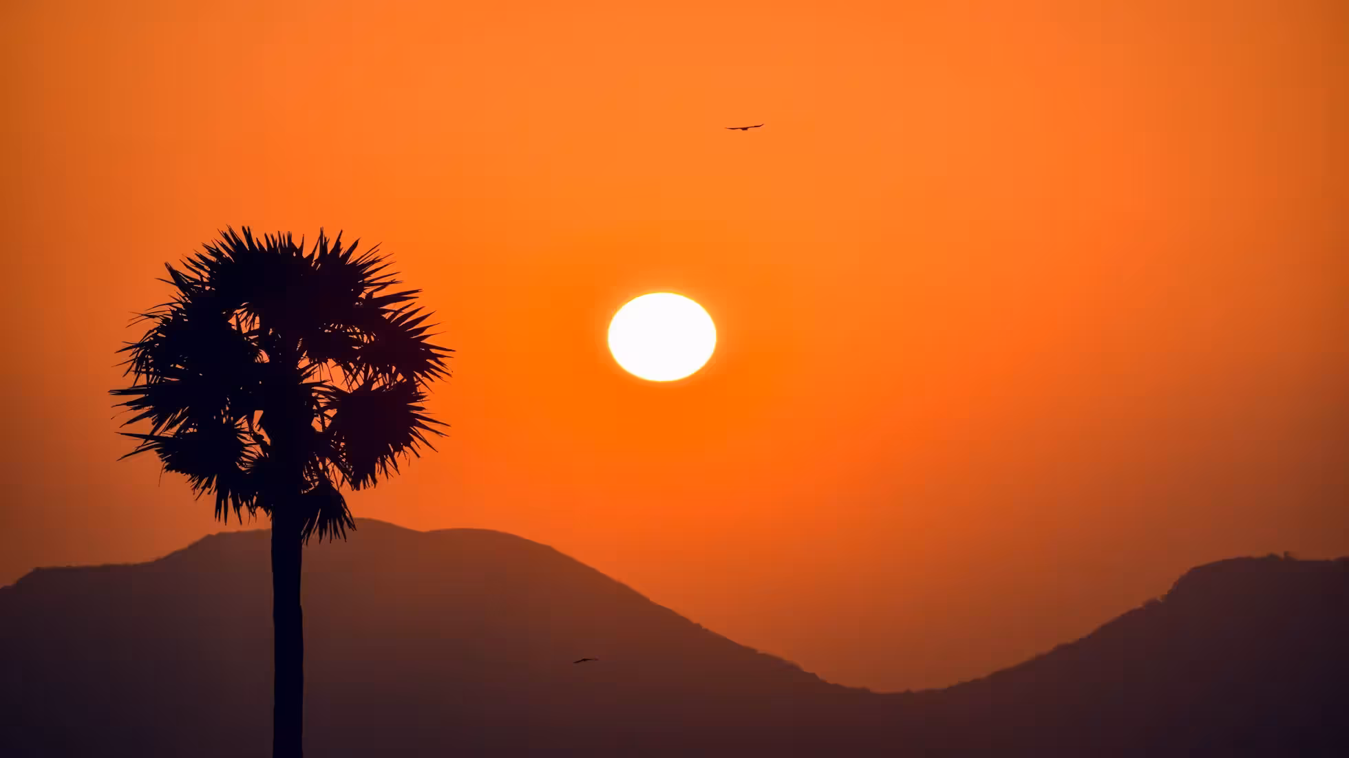 iDiMi-坚持这件事