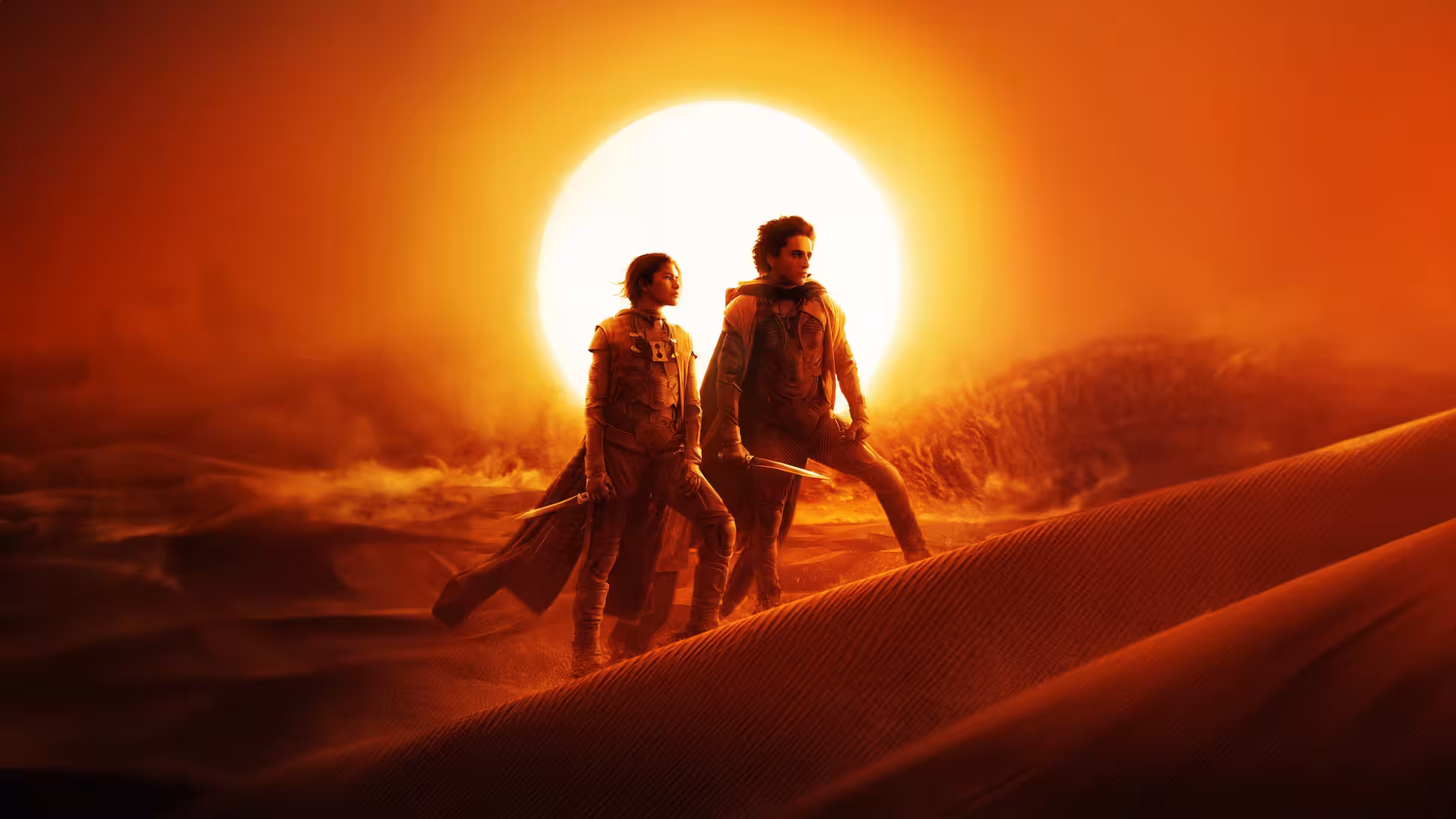 iDiMi-최근 본 영화들