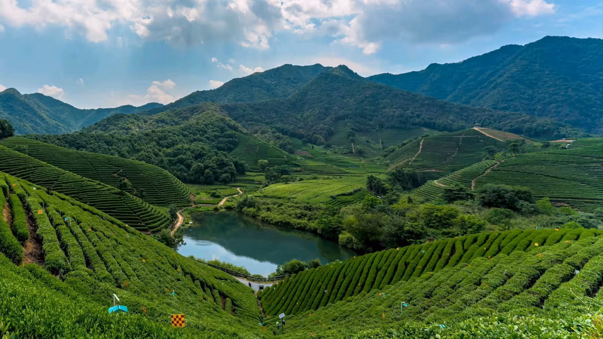 iDiMi-Empat Musim di Longwu