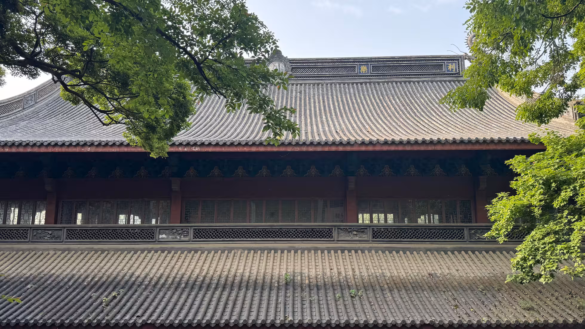 iDiMi-Sekarang Tidak Ada Mimpi Tak Berguna di Bantal Saya, Bunga Plum Besar dan Kecil Bau Sama