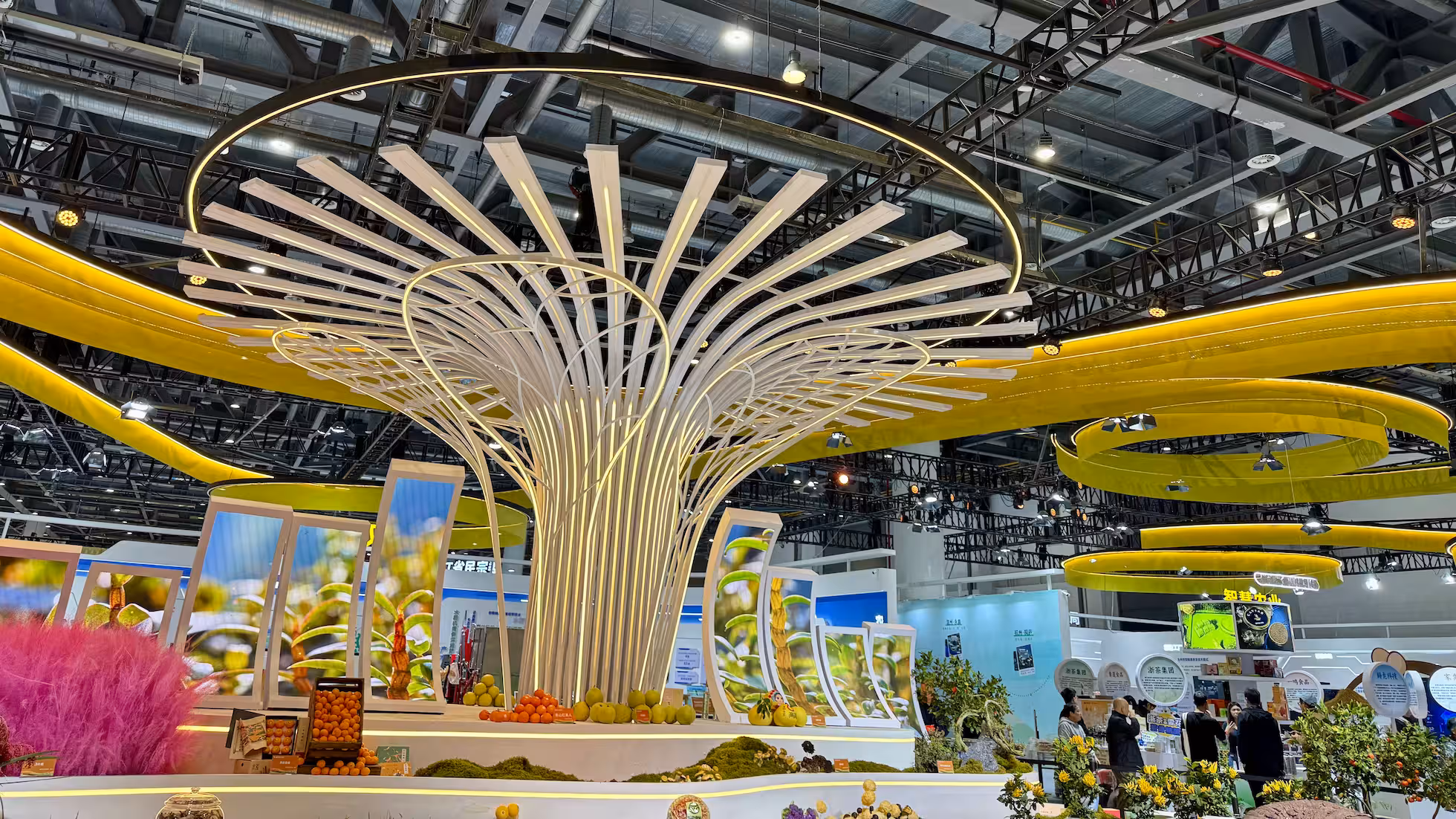 iDiMi-政府项目立项到招标签约全流程