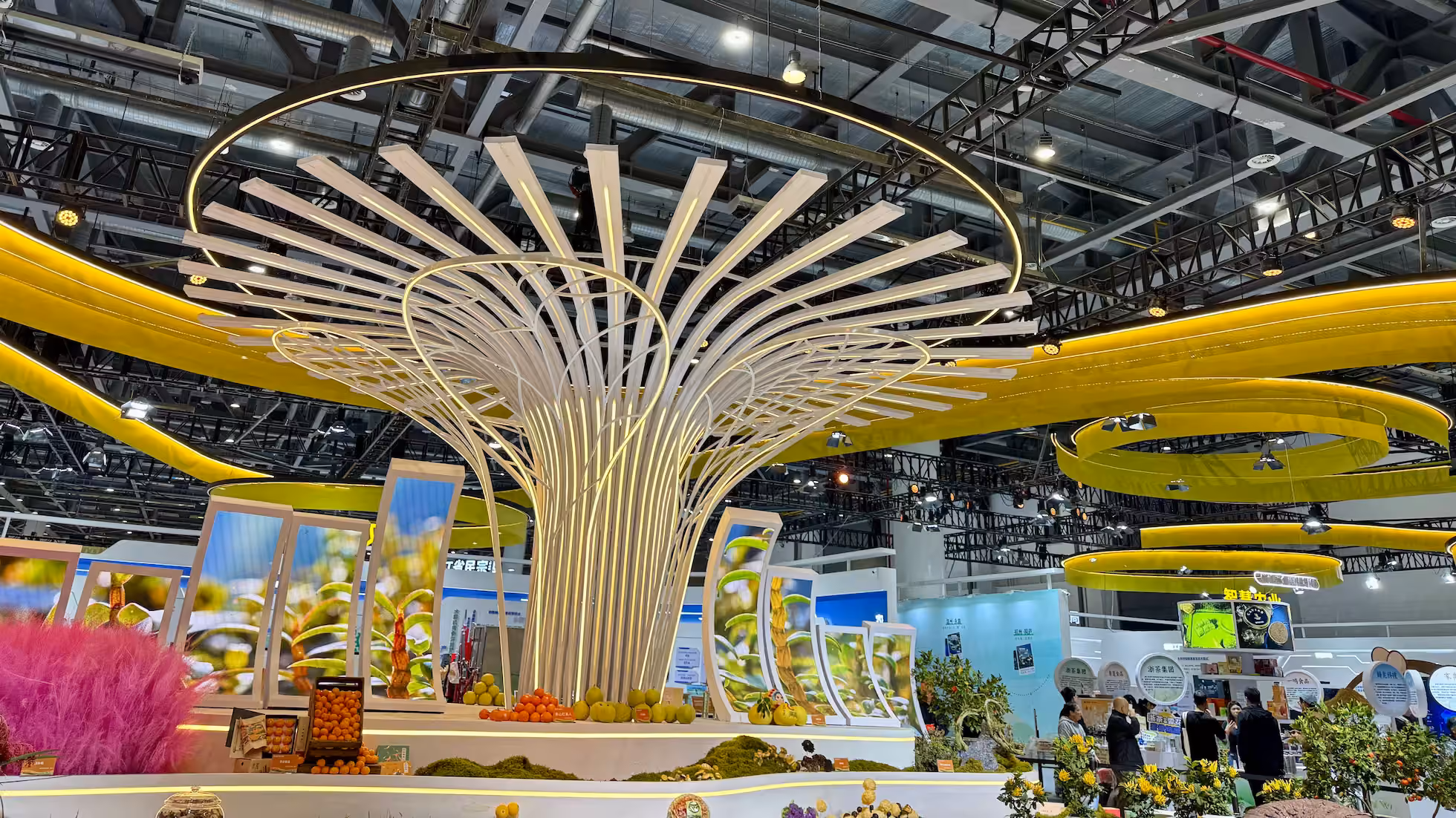 iDiMi-How to Narrow the Three Gaps from the Perspective of Zhejiang Agricultural Expo
